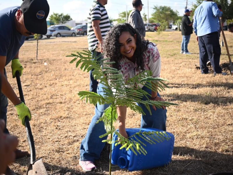 Senadora Olga Sosa se suma a la Jornada Nacional de Reforestación