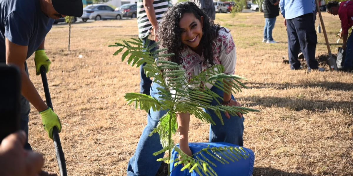 Senadora Olga Sosa se suma a la Jornada Nacional de Reforestación
