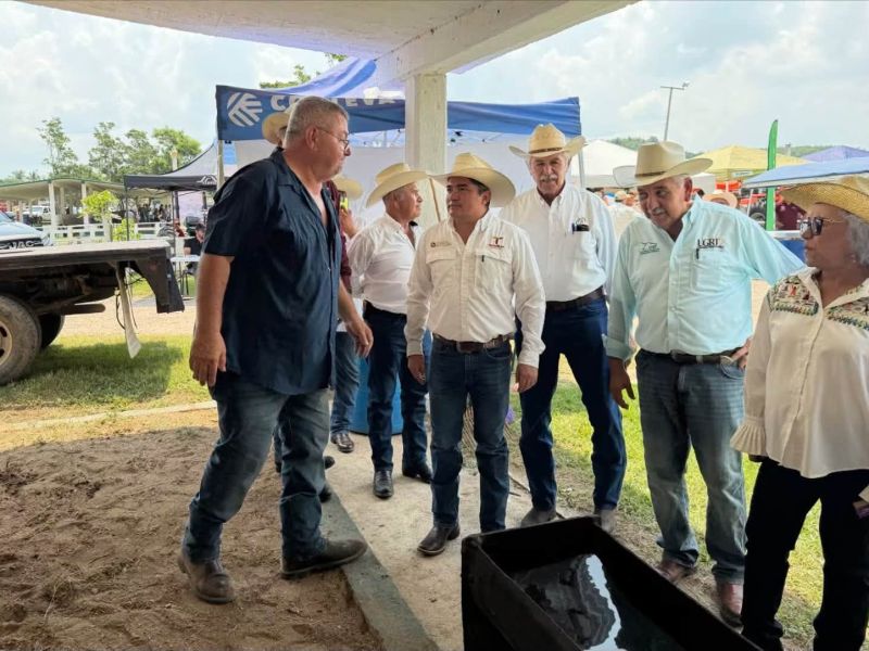Mejoramiento genético impulsa a la ganadería tamaulipeca
