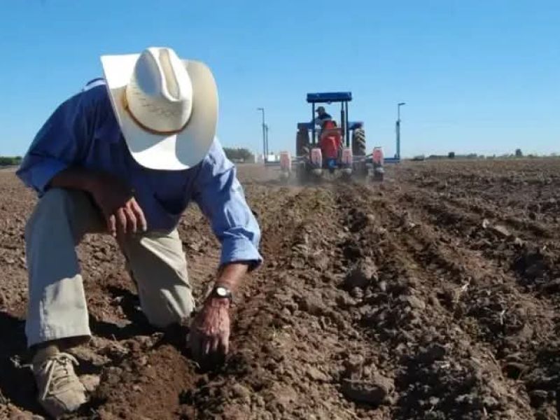 Productores del norte preparan nuevas movilizaciones