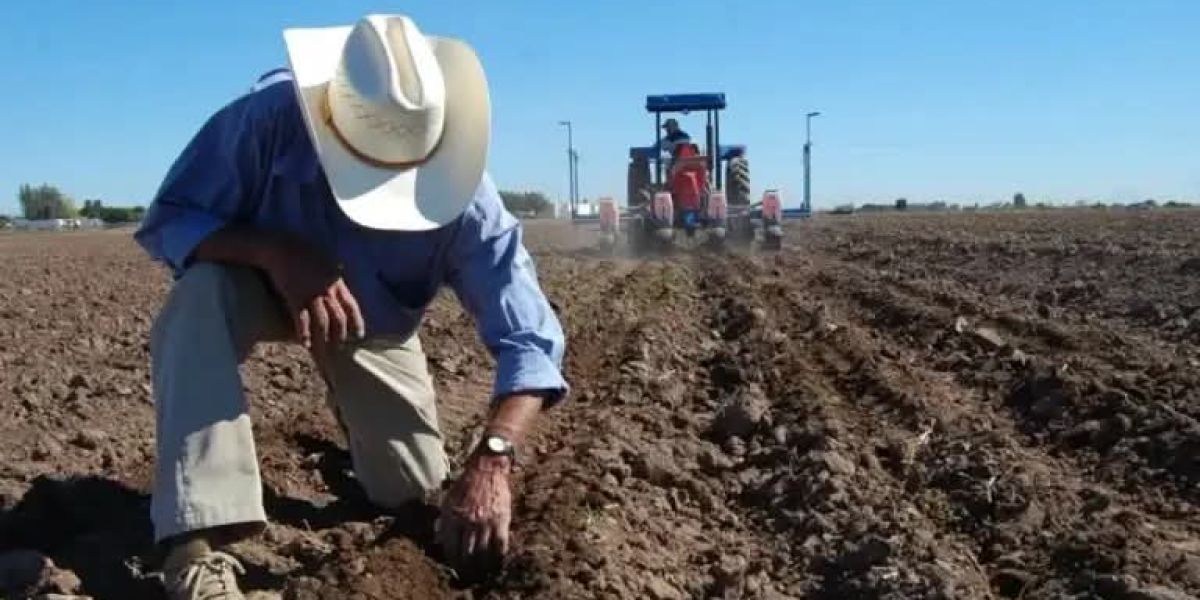 Productores del norte preparan nuevas movilizaciones