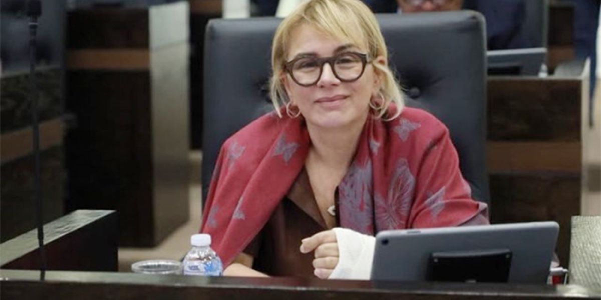 Buscan frenar abusos de grúas y transparentar tarifas