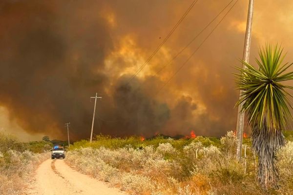 Incendio en Jiménez afecta cerca de mil hectáreas