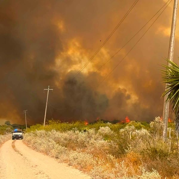 Incendio en Jiménez afecta cerca de mil hectáreas
