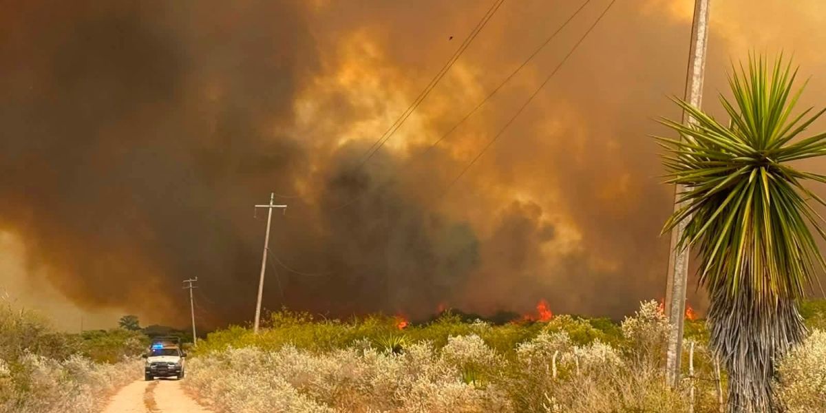Incendio en Jiménez afecta cerca de mil hectáreas