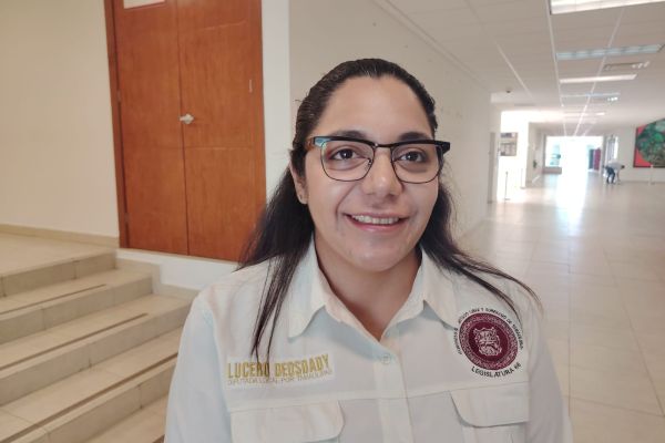 Morena admite que la división sí puede pegarle en las urnas