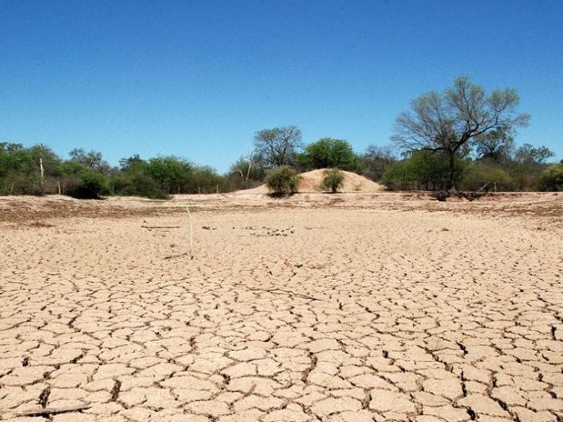 Temen un 2027 más caliente y seco por el regreso de El Niño