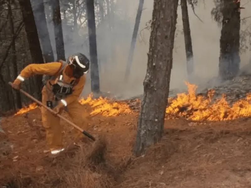 En alerta Tamaulipas por el estrés de sus áreas naturales