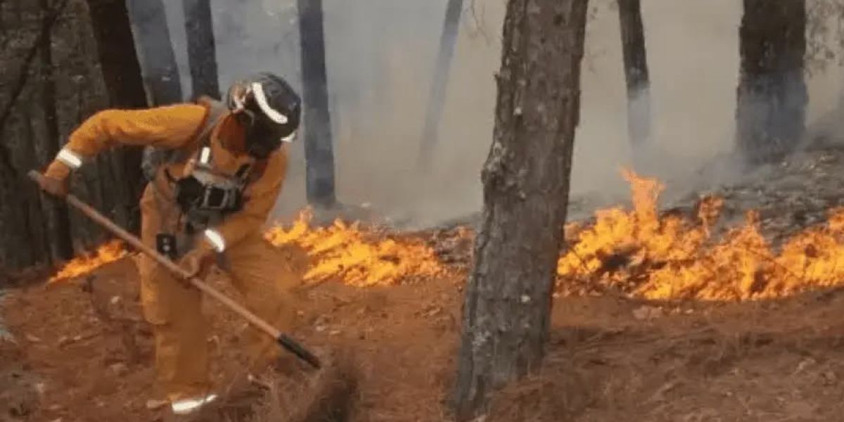 En alerta Tamaulipas por el estrés de sus áreas naturales
