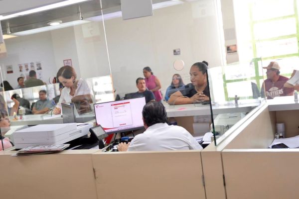 Premio a los autos verdes: 50% menos en trámites