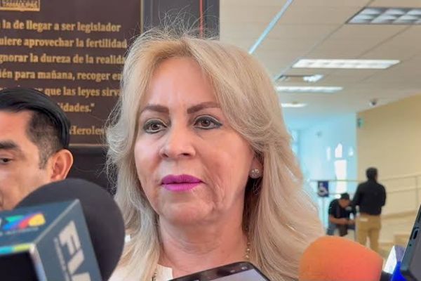 Maestros son colocados según necesidades y perfiles