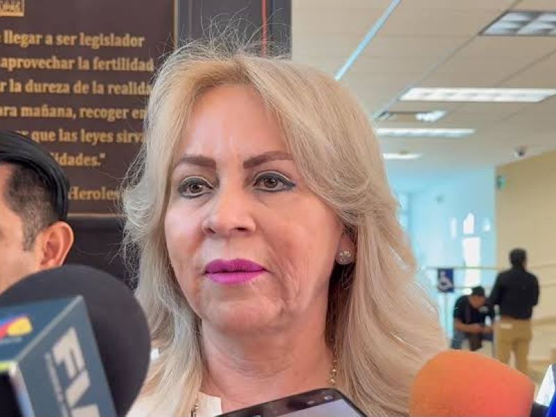 Maestros son colocados según necesidades y perfiles