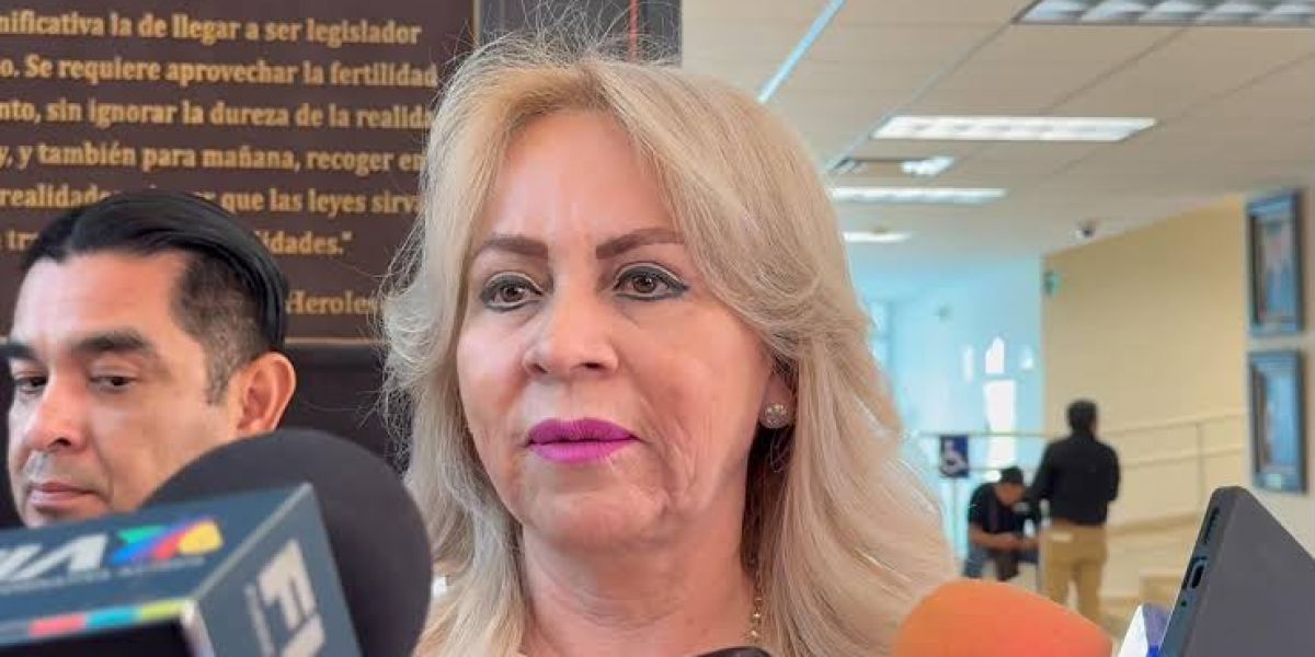 Maestros son colocados según necesidades y perfiles