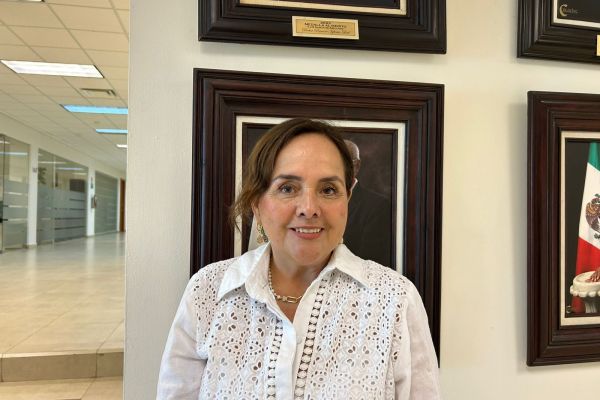 Celular en las aulas: “Hay que enseñar a decidir, no solo prohibir”