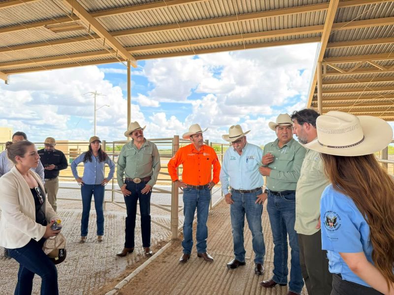 Ganaderos de Tamaulipas afinan ruta para reactivar exportación a EU