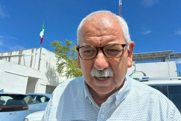 Ganaderos tienen 50 mil cabezas de ganado listas para exportar