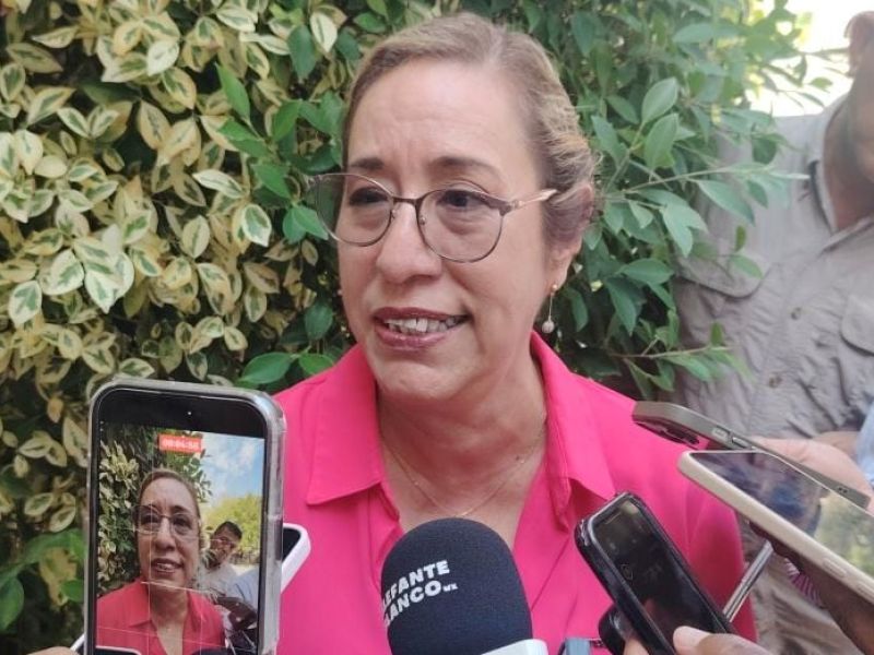 Morena se desmarcará de Andy López Beltrán y otros personajes si se prueban nexos con la delincuencia