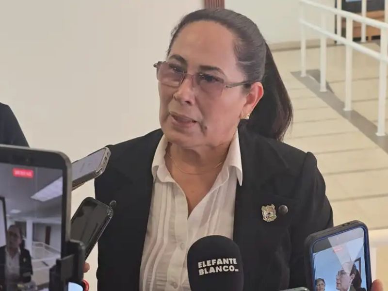 Obligan a “Tiendas de Mascotas” promover adopción responsable en Tamaulipas
