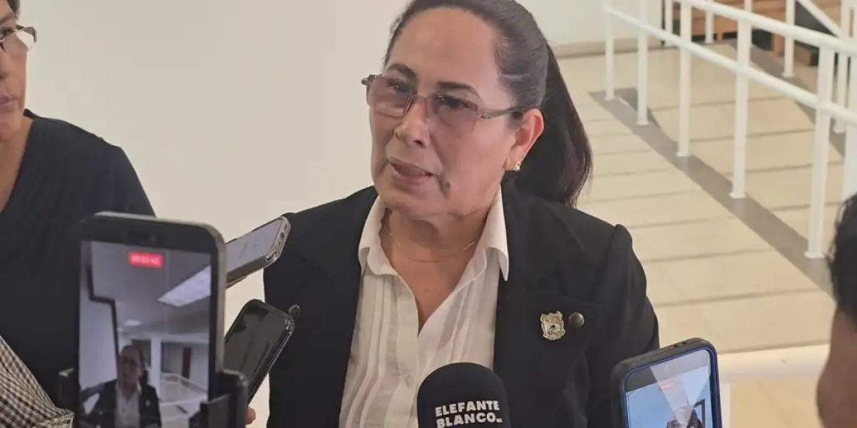 Obligan a “Tiendas de Mascotas” promover adopción responsable en Tamaulipas