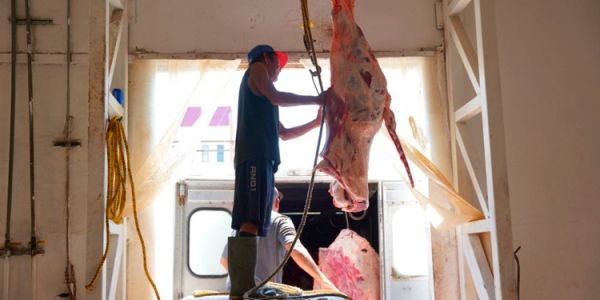 Carne bajo la lupa: endurecen controles sanitarios en rastros de Tamaulipas