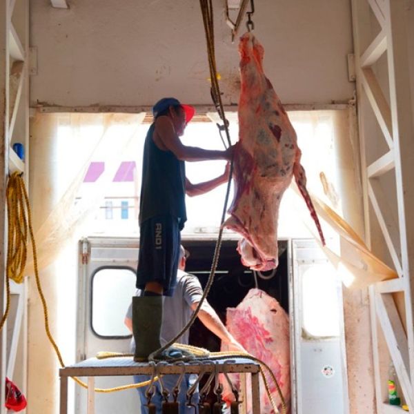 Carne bajo la lupa: endurecen controles sanitarios en rastros de Tamaulipas