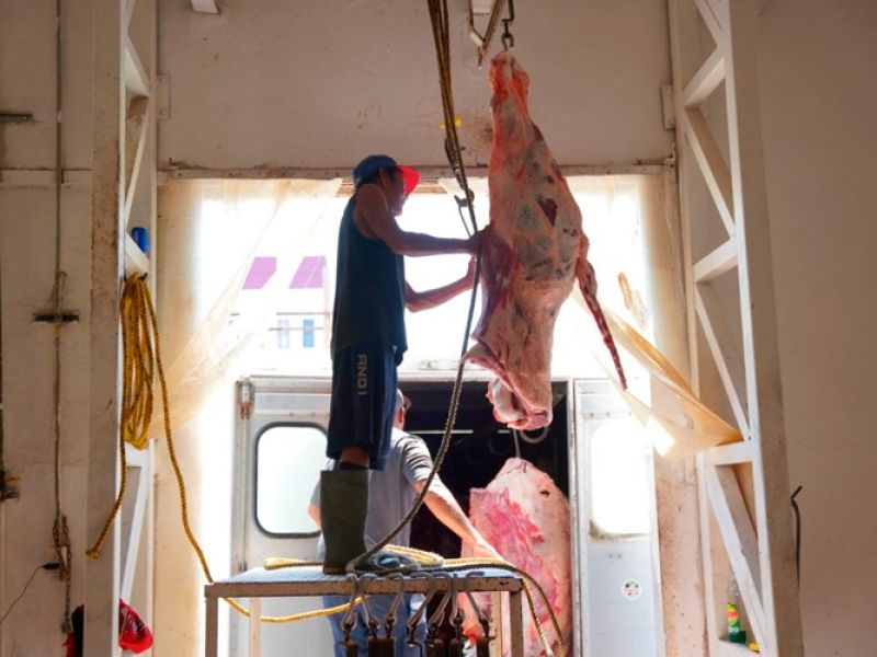 Carne bajo la lupa: endurecen controles sanitarios en rastros de Tamaulipas