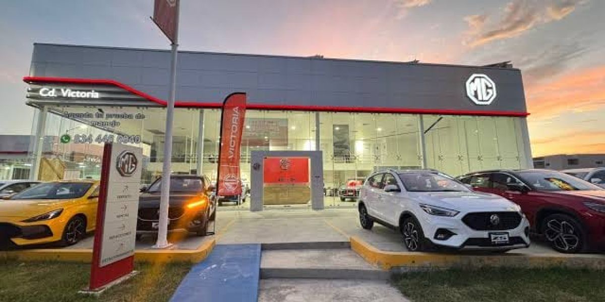 Buscan que autos nuevos salgan emplacados de las agencias