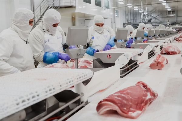 Sobra carne de res en México; ganaderos de Tamaulipas esperan mejores precios