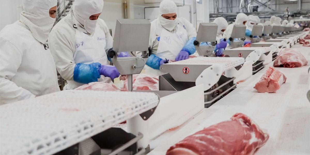 Sobra carne de res en México; ganaderos de Tamaulipas esperan mejores precios