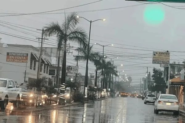 Frente frío arribara este viernes