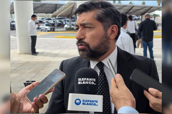 Descarta INE Tamaulipas riesgo a su credibilidad por salida de Guadalupe Taddei