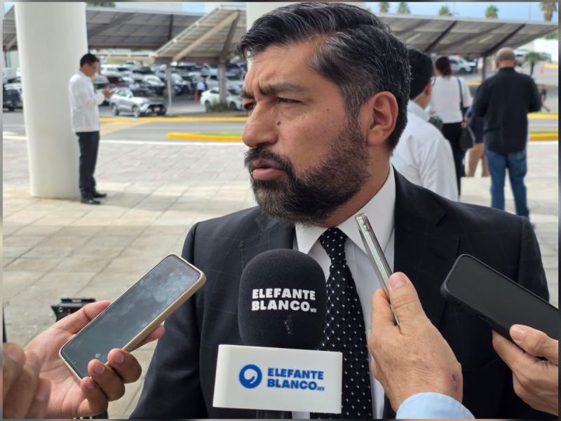 Descarta INE Tamaulipas riesgo a su credibilidad por salida de Guadalupe Taddei