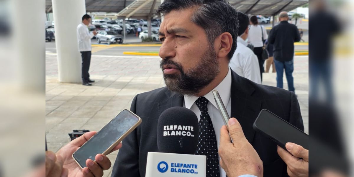 Descarta INE Tamaulipas riesgo a su credibilidad por salida de Guadalupe Taddei