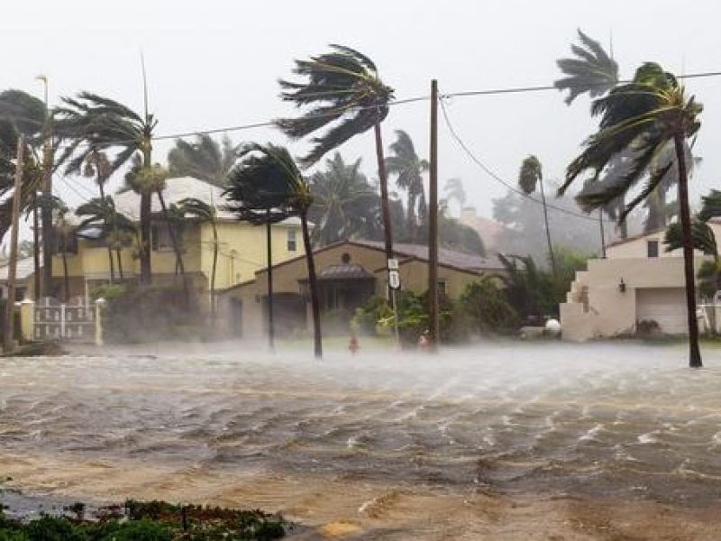 Tormenta tropical Alvin perderá fuerza rumbo a la península de Baja California