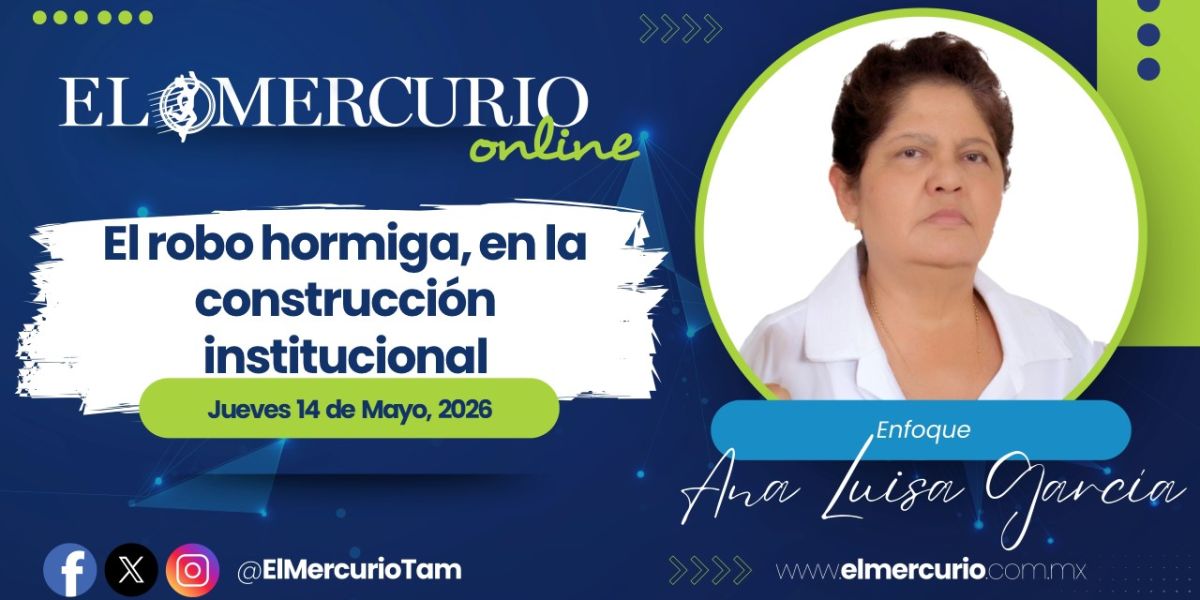 El robo hormiga, en la construcción institucional