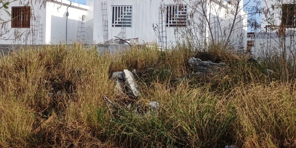 Secretaría de Salud insta a municipios a limpiar terrenos abandonados ante riesgo de dengue