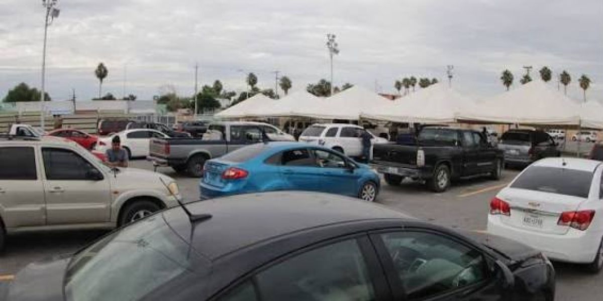 Miles de autos regularizados aparecen como “irregulares” en REPUVE; Alerta IP