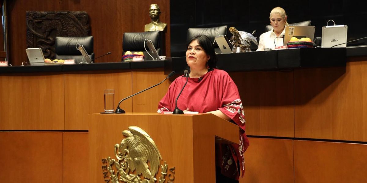 Pide Guadalupe Chavira al gobernador Rubén Rocha separarse del cargo para ser investigado en México