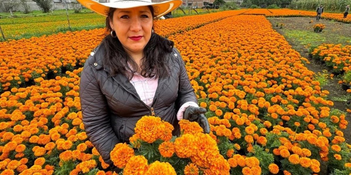 Ante la proximidad del Día de Muertos, Xochimilco se pinta de naranja