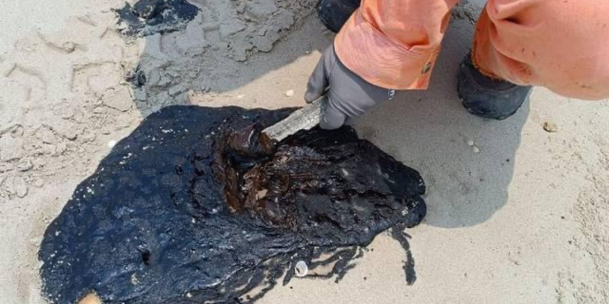 Alerta ambiental en playas del Estado por invasión de petróleo