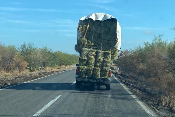 Piden frenar transporte agrícola que pone en riesgo a automovilistas