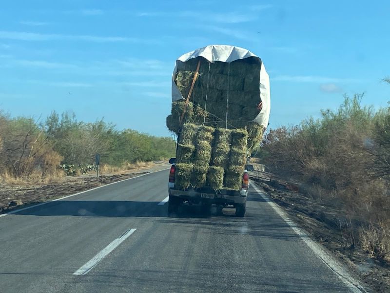 Piden frenar transporte agrícola que pone en riesgo a automovilistas