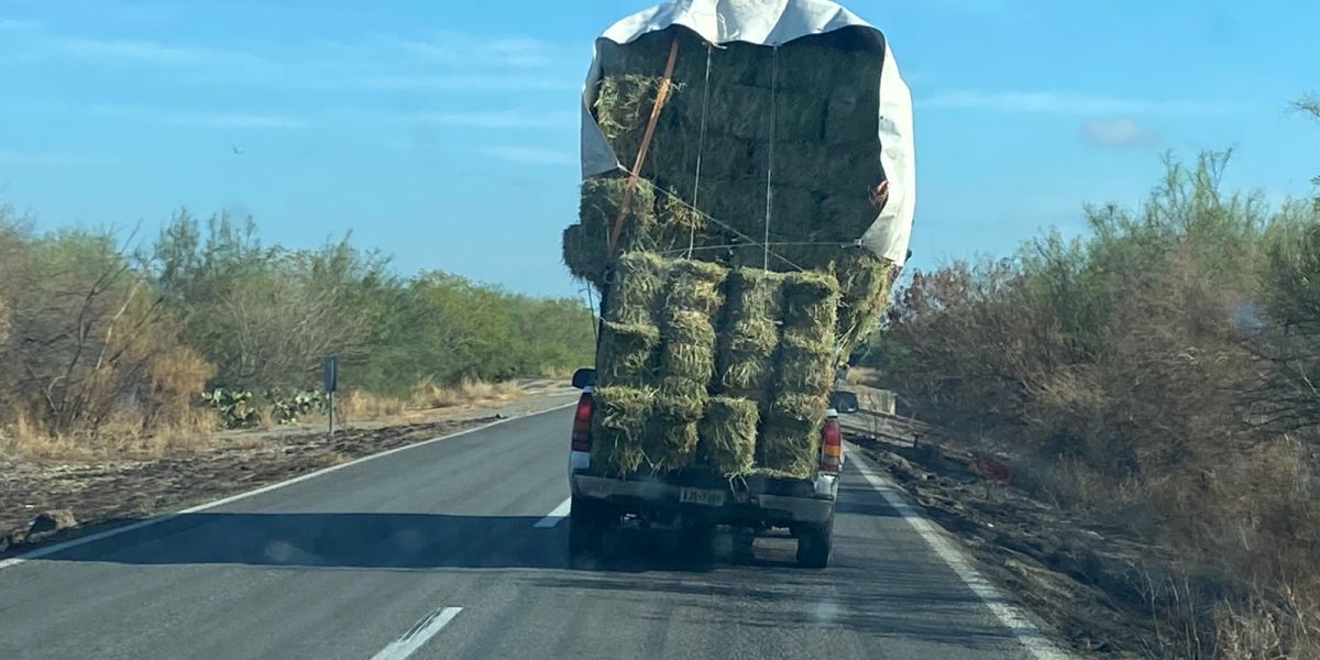 Piden frenar transporte agrícola que pone en riesgo a automovilistas