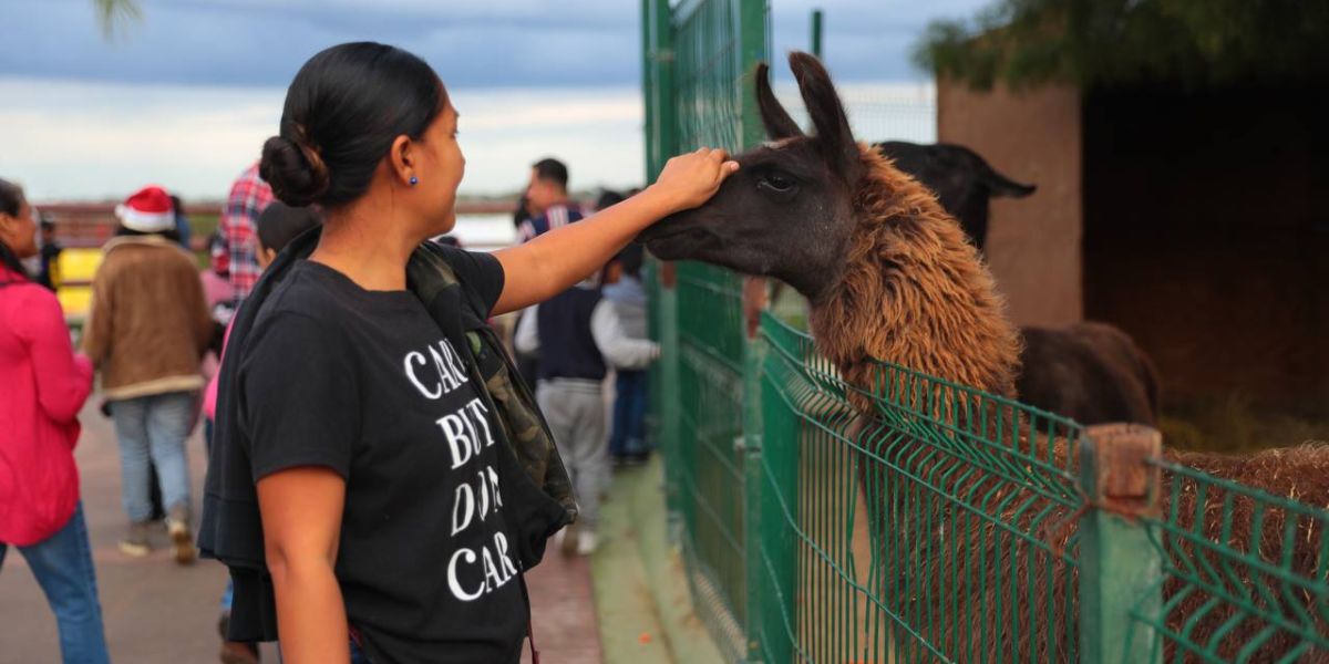 Invitan a interactuar con animalitos del zoológico de Nuevo Laredo