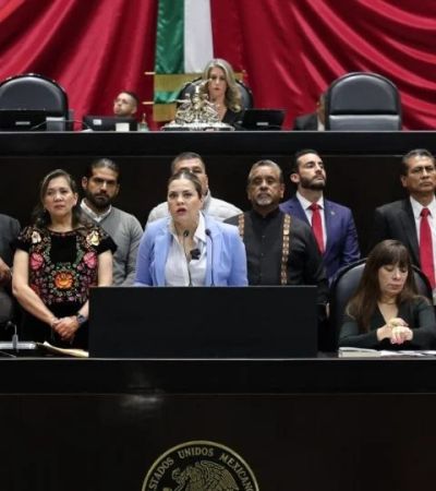 Diputada del PT denuncia ciberacoso de militantes de Morena tras oponerse a la reforma electoral