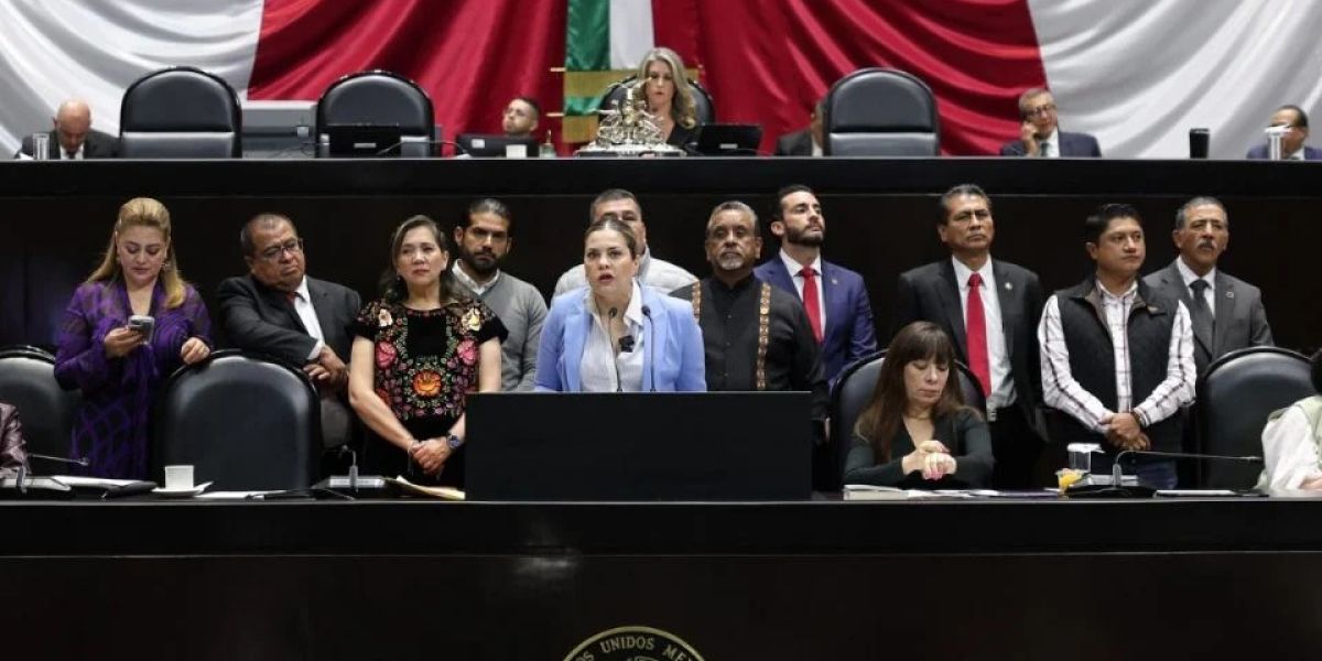 Diputada del PT denuncia ciberacoso de militantes de Morena tras oponerse a la reforma electoral