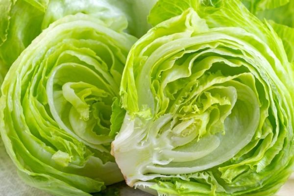 Retiran lechuga iceberg originaria de México de restaurantes de comida rápida relacionados con el brote de diarrea “explosiva”