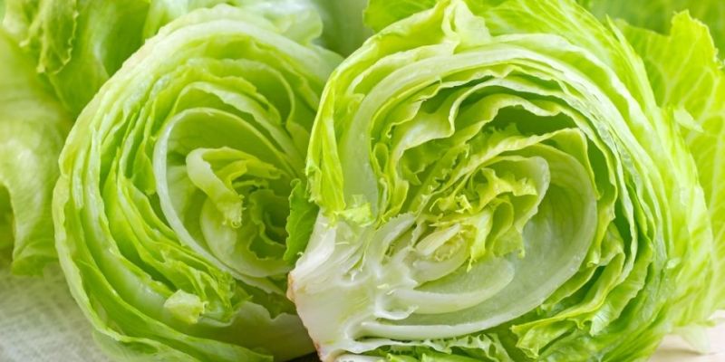 Retiran lechuga iceberg originaria de México de restaurantes de comida rápida relacionados con el brote de diarrea “explosiva”