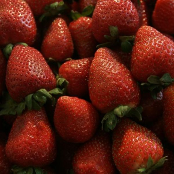 EU plantea imponer cuotas de hasta 5.28% a las fresas mexicanas