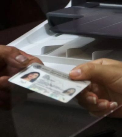 Cédula profesional deja de ser identificación oficial; sólo respaldará el nivel de estudios